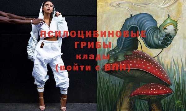 стафф Алексеевка